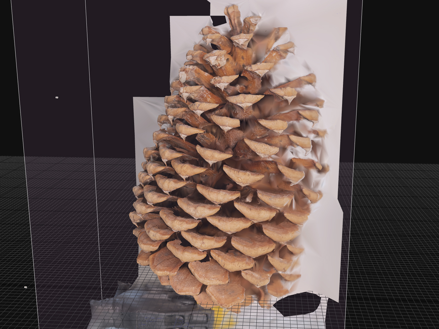 Pinecones_broken1